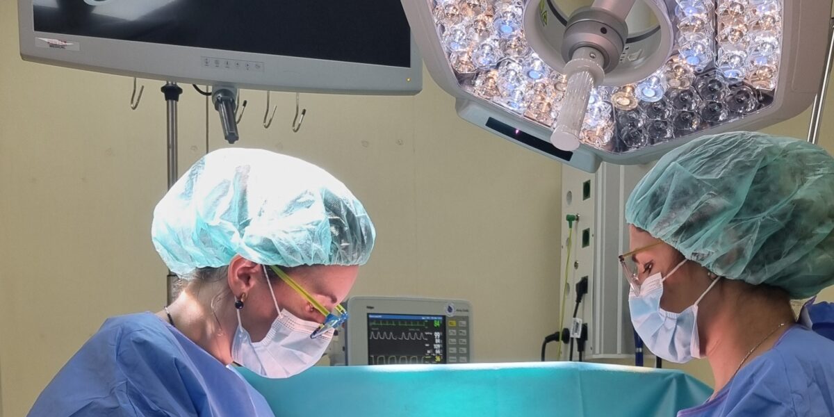 mastopexie fara implant