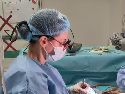 mastopexie fara implant